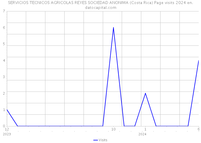 SERVICIOS TECNICOS AGRICOLAS REYES SOCIEDAD ANONIMA (Costa Rica) Page visits 2024 