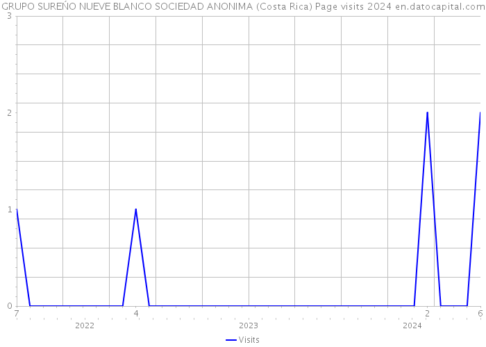 GRUPO SUREŃO NUEVE BLANCO SOCIEDAD ANONIMA (Costa Rica) Page visits 2024 