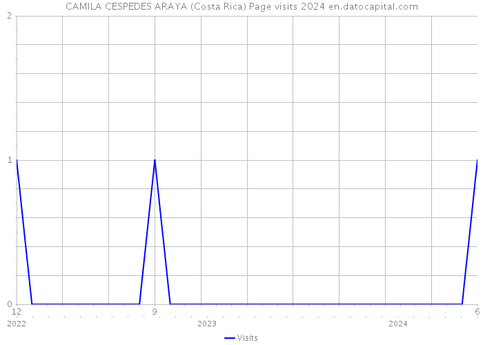 CAMILA CESPEDES ARAYA (Costa Rica) Page visits 2024 