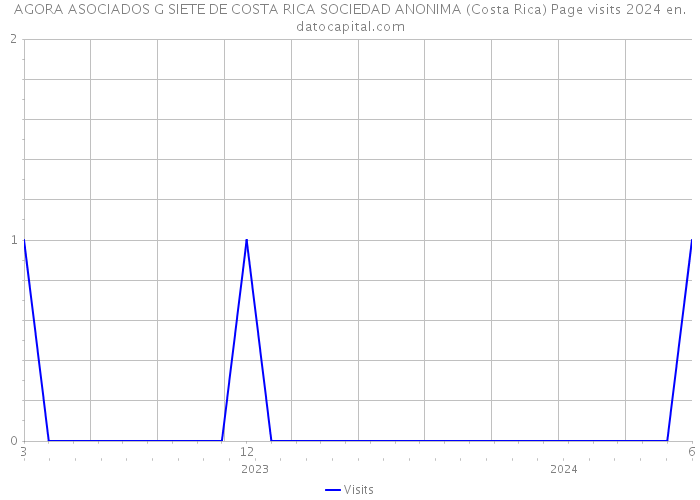 AGORA ASOCIADOS G SIETE DE COSTA RICA SOCIEDAD ANONIMA (Costa Rica) Page visits 2024 