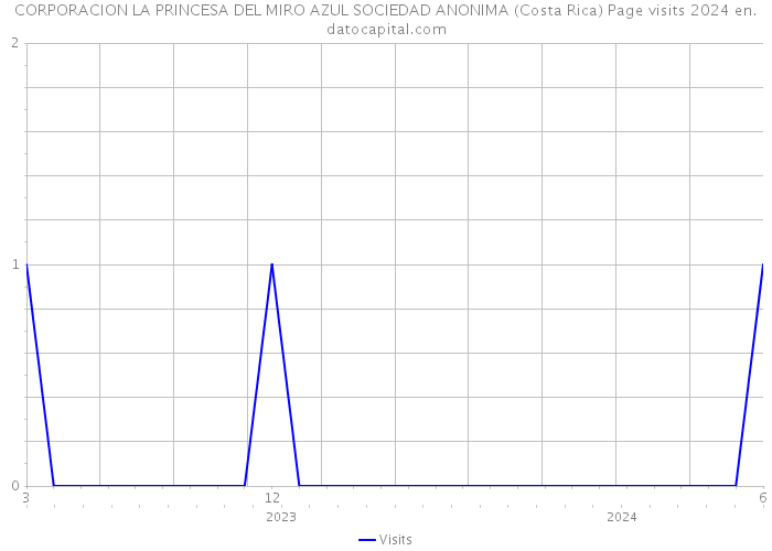 CORPORACION LA PRINCESA DEL MIRO AZUL SOCIEDAD ANONIMA (Costa Rica) Page visits 2024 