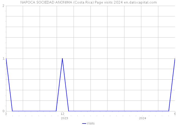 NAPOCA SOCIEDAD ANONIMA (Costa Rica) Page visits 2024 