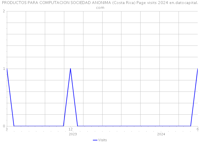 PRODUCTOS PARA COMPUTACION SOCIEDAD ANONIMA (Costa Rica) Page visits 2024 