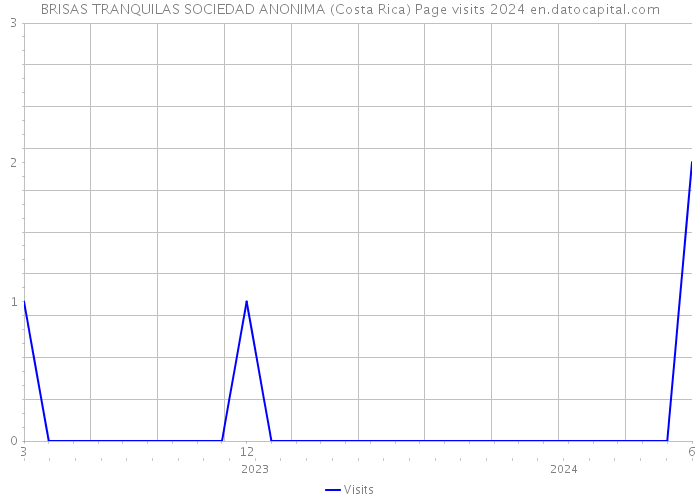 BRISAS TRANQUILAS SOCIEDAD ANONIMA (Costa Rica) Page visits 2024 
