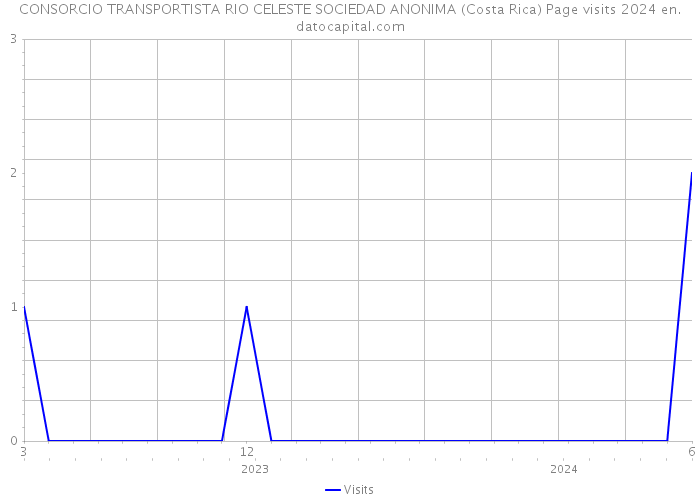 CONSORCIO TRANSPORTISTA RIO CELESTE SOCIEDAD ANONIMA (Costa Rica) Page visits 2024 