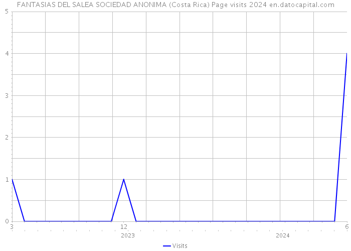 FANTASIAS DEL SALEA SOCIEDAD ANONIMA (Costa Rica) Page visits 2024 