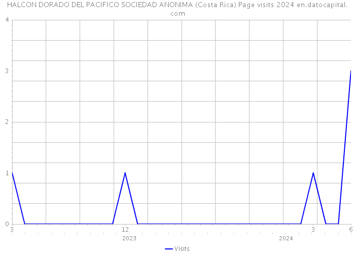 HALCON DORADO DEL PACIFICO SOCIEDAD ANONIMA (Costa Rica) Page visits 2024 
