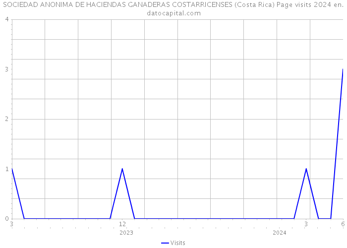 SOCIEDAD ANONIMA DE HACIENDAS GANADERAS COSTARRICENSES (Costa Rica) Page visits 2024 