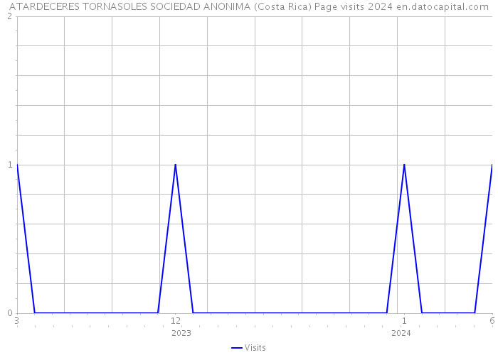 ATARDECERES TORNASOLES SOCIEDAD ANONIMA (Costa Rica) Page visits 2024 