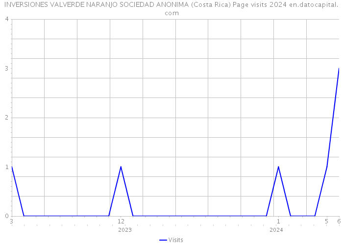 INVERSIONES VALVERDE NARANJO SOCIEDAD ANONIMA (Costa Rica) Page visits 2024 