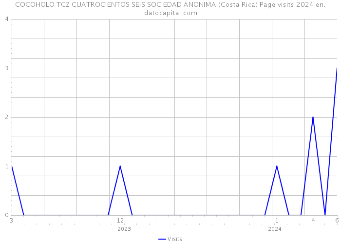 COCOHOLO TGZ CUATROCIENTOS SEIS SOCIEDAD ANONIMA (Costa Rica) Page visits 2024 