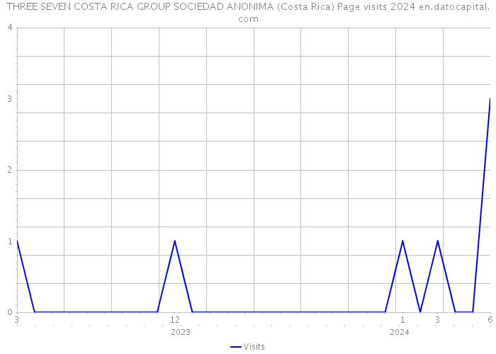 THREE SEVEN COSTA RICA GROUP SOCIEDAD ANONIMA (Costa Rica) Page visits 2024 