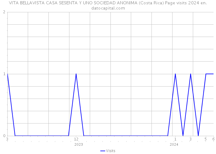 VITA BELLAVISTA CASA SESENTA Y UNO SOCIEDAD ANONIMA (Costa Rica) Page visits 2024 