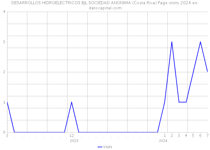 DESARROLLOS HIDROELECTRICOS BJL SOCIEDAD ANONIMA (Costa Rica) Page visits 2024 