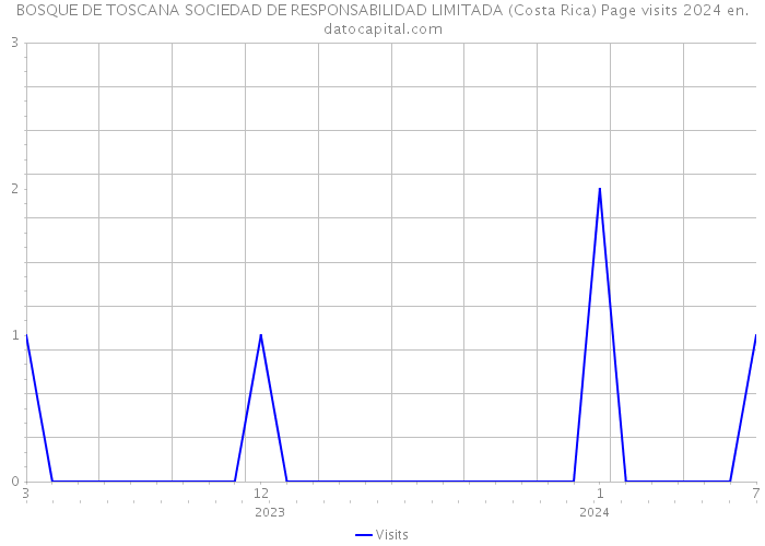 BOSQUE DE TOSCANA SOCIEDAD DE RESPONSABILIDAD LIMITADA (Costa Rica) Page visits 2024 