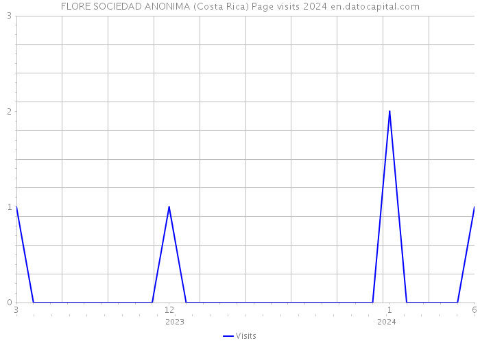 FLORE SOCIEDAD ANONIMA (Costa Rica) Page visits 2024 