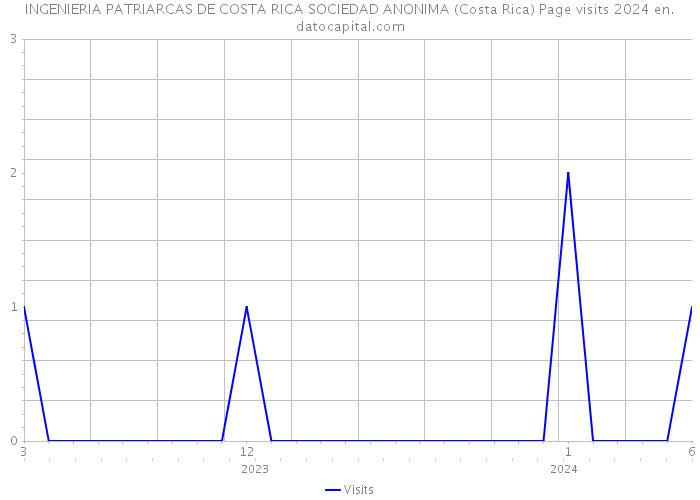 INGENIERIA PATRIARCAS DE COSTA RICA SOCIEDAD ANONIMA (Costa Rica) Page visits 2024 