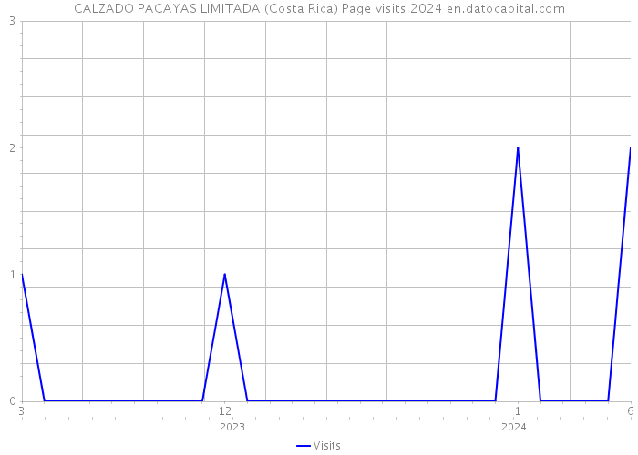CALZADO PACAYAS LIMITADA (Costa Rica) Page visits 2024 