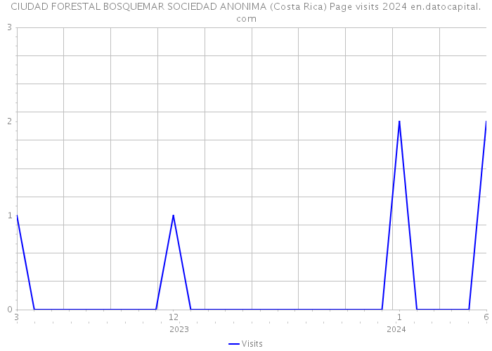 CIUDAD FORESTAL BOSQUEMAR SOCIEDAD ANONIMA (Costa Rica) Page visits 2024 