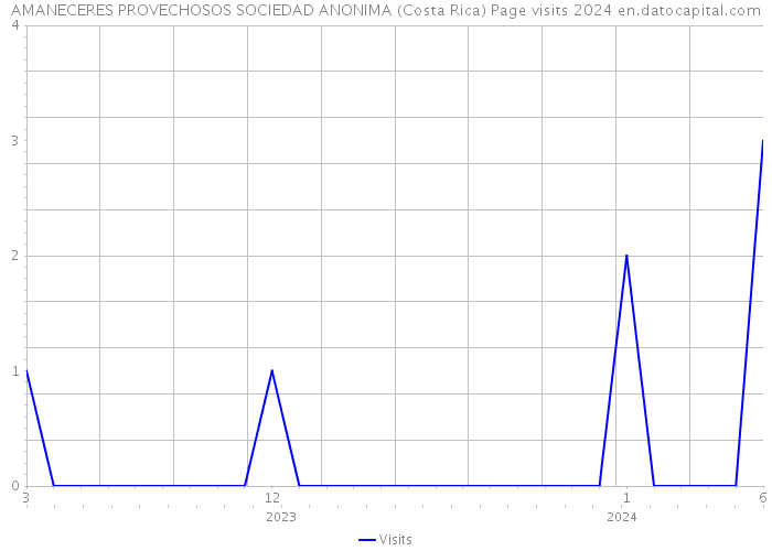 AMANECERES PROVECHOSOS SOCIEDAD ANONIMA (Costa Rica) Page visits 2024 
