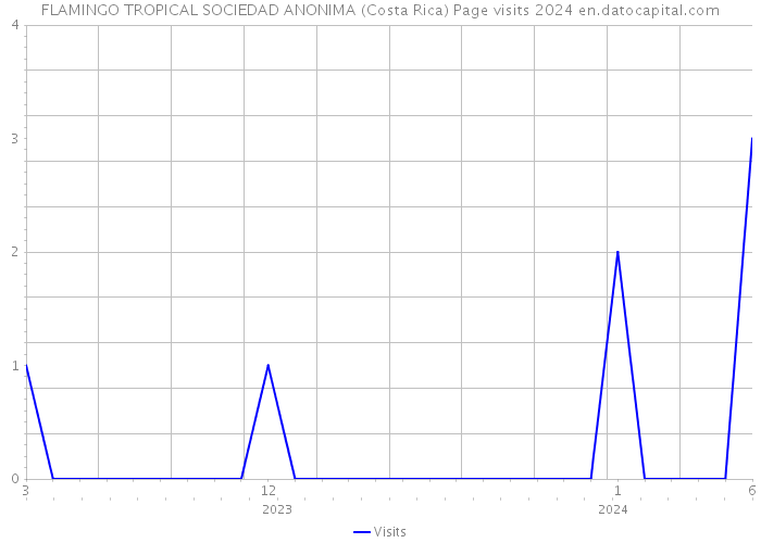 FLAMINGO TROPICAL SOCIEDAD ANONIMA (Costa Rica) Page visits 2024 