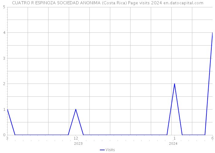 CUATRO R ESPINOZA SOCIEDAD ANONIMA (Costa Rica) Page visits 2024 