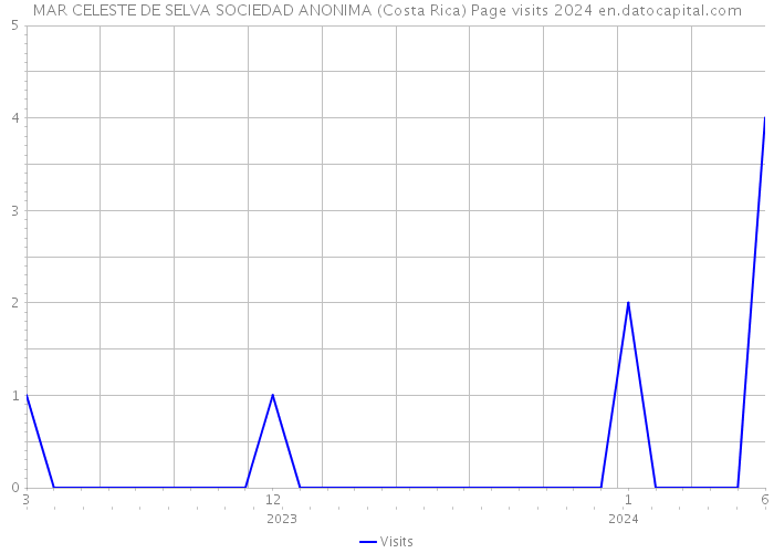 MAR CELESTE DE SELVA SOCIEDAD ANONIMA (Costa Rica) Page visits 2024 