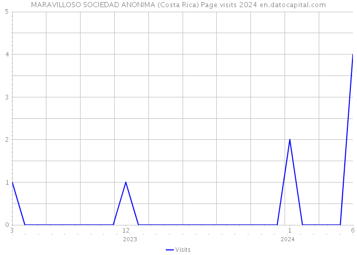 MARAVILLOSO SOCIEDAD ANONIMA (Costa Rica) Page visits 2024 
