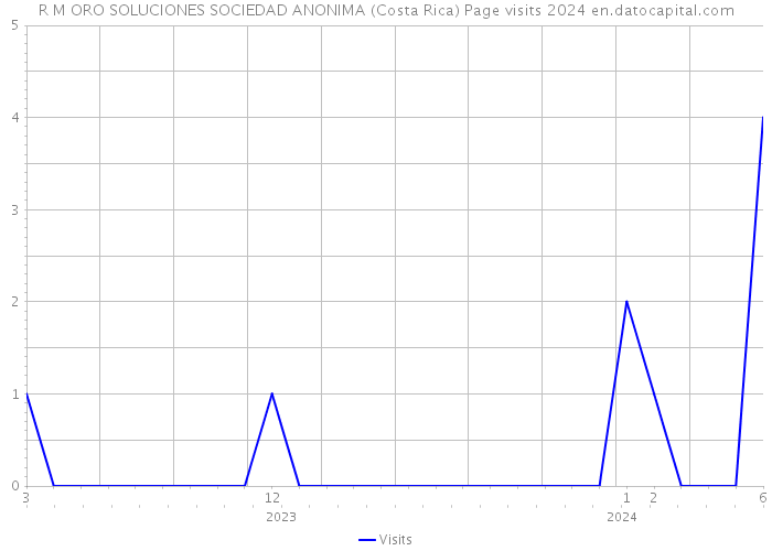 R M ORO SOLUCIONES SOCIEDAD ANONIMA (Costa Rica) Page visits 2024 