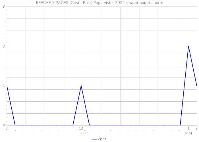 BEECHE Y PAGES (Costa Rica) Page visits 2024 
