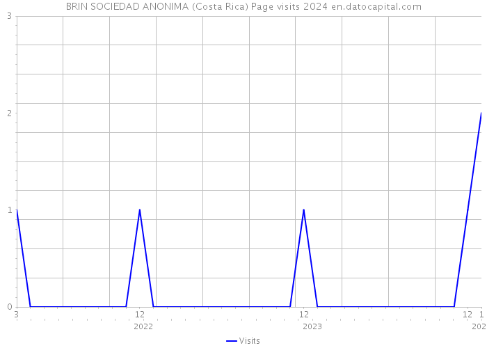 BRIN SOCIEDAD ANONIMA (Costa Rica) Page visits 2024 