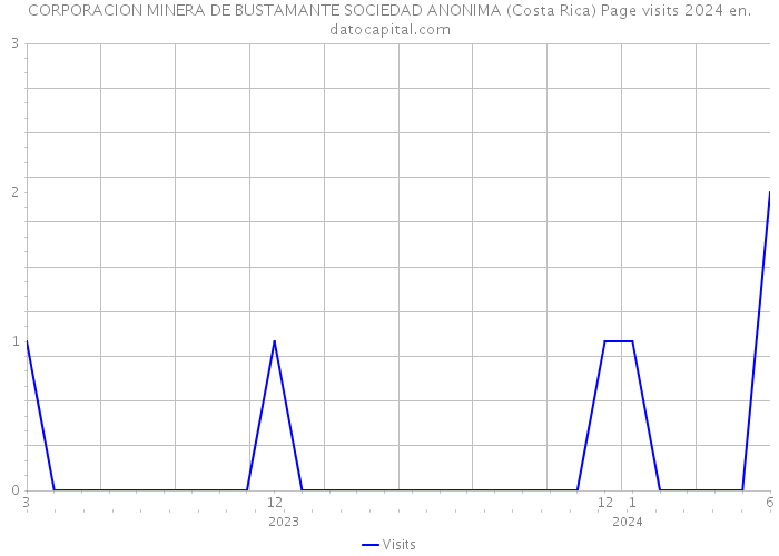 CORPORACION MINERA DE BUSTAMANTE SOCIEDAD ANONIMA (Costa Rica) Page visits 2024 