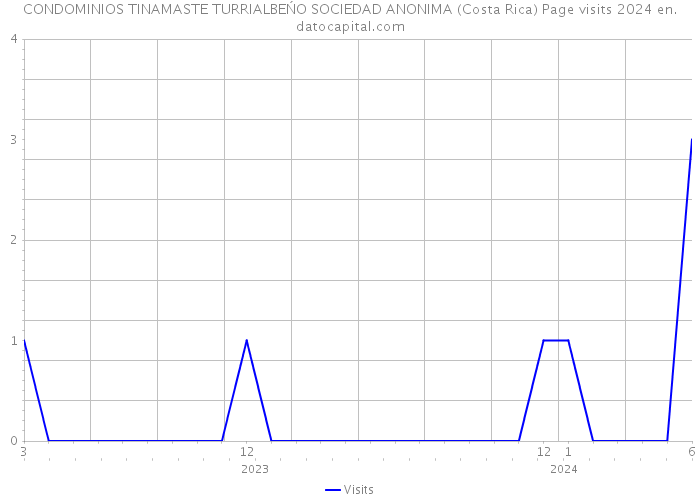 CONDOMINIOS TINAMASTE TURRIALBEŃO SOCIEDAD ANONIMA (Costa Rica) Page visits 2024 