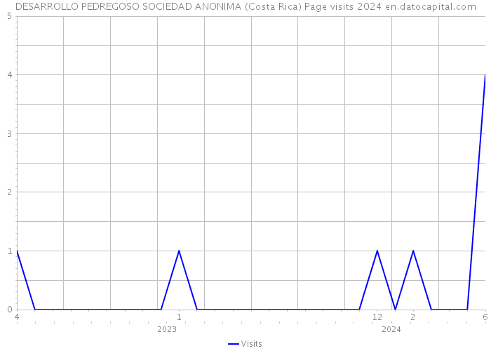 DESARROLLO PEDREGOSO SOCIEDAD ANONIMA (Costa Rica) Page visits 2024 