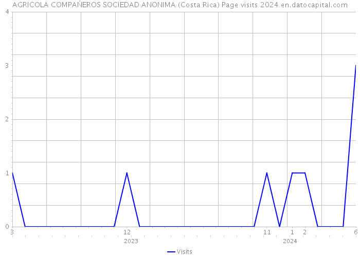 AGRICOLA COMPAŃEROS SOCIEDAD ANONIMA (Costa Rica) Page visits 2024 