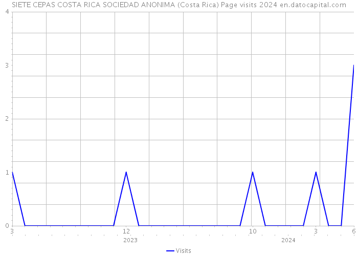 SIETE CEPAS COSTA RICA SOCIEDAD ANONIMA (Costa Rica) Page visits 2024 