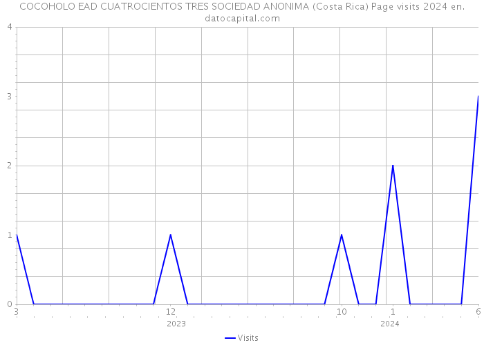 COCOHOLO EAD CUATROCIENTOS TRES SOCIEDAD ANONIMA (Costa Rica) Page visits 2024 