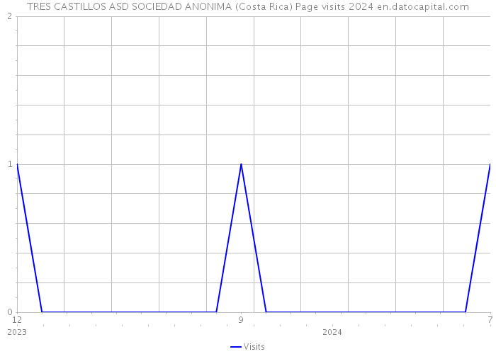 TRES CASTILLOS ASD SOCIEDAD ANONIMA (Costa Rica) Page visits 2024 