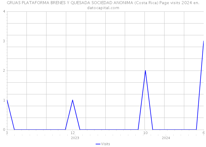 GRUAS PLATAFORMA BRENES Y QUESADA SOCIEDAD ANONIMA (Costa Rica) Page visits 2024 