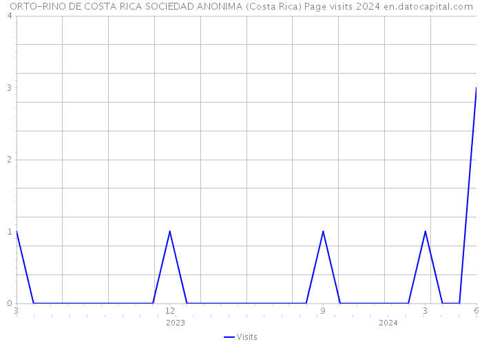 ORTO-RINO DE COSTA RICA SOCIEDAD ANONIMA (Costa Rica) Page visits 2024 