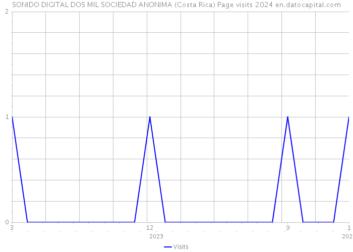 SONIDO DIGITAL DOS MIL SOCIEDAD ANONIMA (Costa Rica) Page visits 2024 