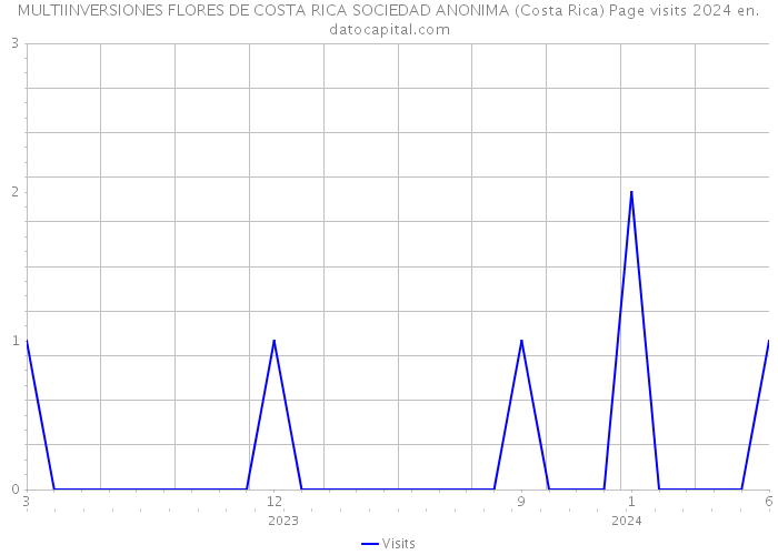 MULTIINVERSIONES FLORES DE COSTA RICA SOCIEDAD ANONIMA (Costa Rica) Page visits 2024 