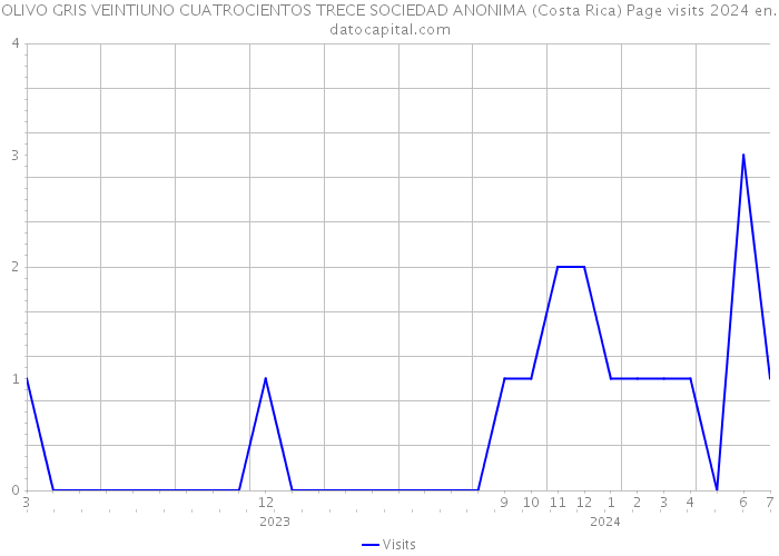 OLIVO GRIS VEINTIUNO CUATROCIENTOS TRECE SOCIEDAD ANONIMA (Costa Rica) Page visits 2024 