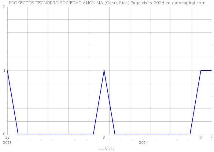 PROYECTOS TECNOPRO SOCIEDAD ANONIMA (Costa Rica) Page visits 2024 