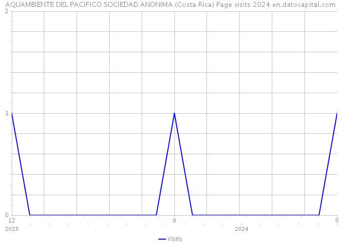 AQUAMBIENTE DEL PACIFICO SOCIEDAD ANONIMA (Costa Rica) Page visits 2024 