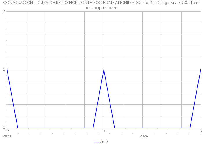 CORPORACION LORISA DE BELLO HORIZONTE SOCIEDAD ANONIMA (Costa Rica) Page visits 2024 