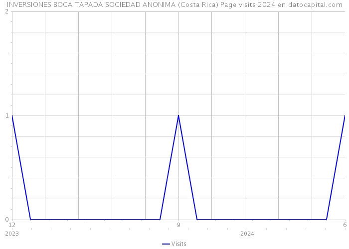 INVERSIONES BOCA TAPADA SOCIEDAD ANONIMA (Costa Rica) Page visits 2024 