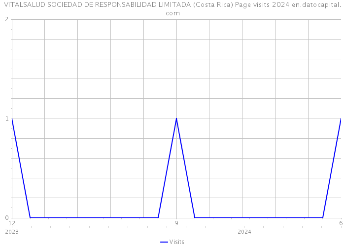 VITALSALUD SOCIEDAD DE RESPONSABILIDAD LIMITADA (Costa Rica) Page visits 2024 