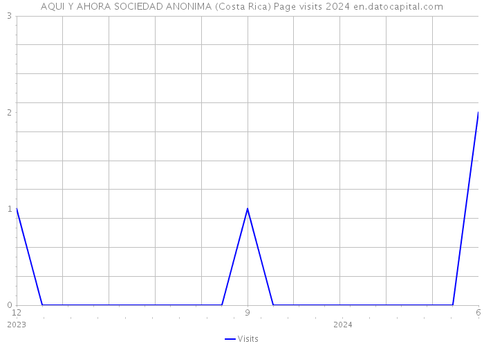 AQUI Y AHORA SOCIEDAD ANONIMA (Costa Rica) Page visits 2024 