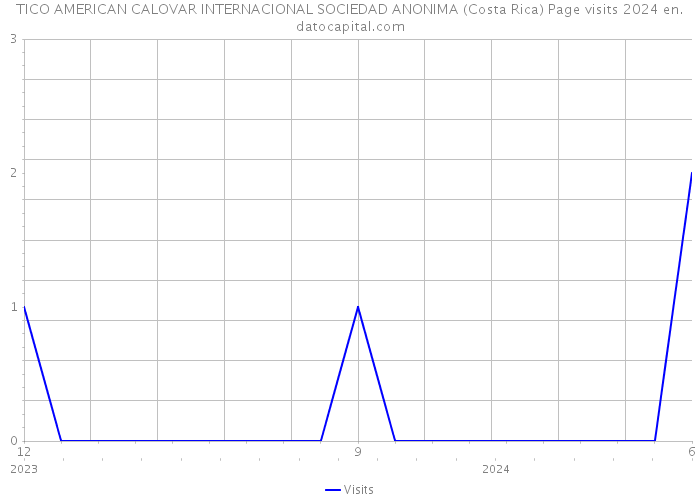 TICO AMERICAN CALOVAR INTERNACIONAL SOCIEDAD ANONIMA (Costa Rica) Page visits 2024 